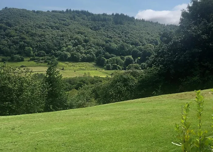 Chalé Oak Tree Westport